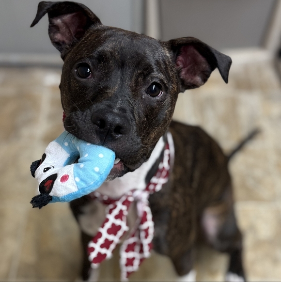 Meet your Posher, Mo! - Picture 5 of 5